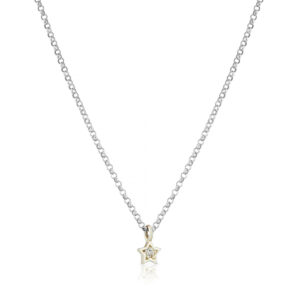 9CT White gold Star Necklace (1)